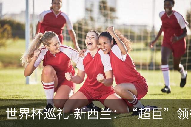 世界杯巡礼-新西兰：“超巨”领衔平民军团，小组突围不是梦！